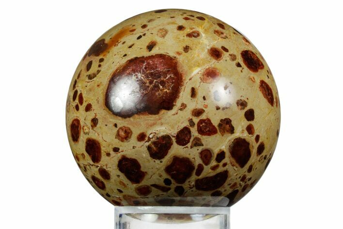 Polished Bauxite (Aluminum Ore) Sphere - Russia #354230